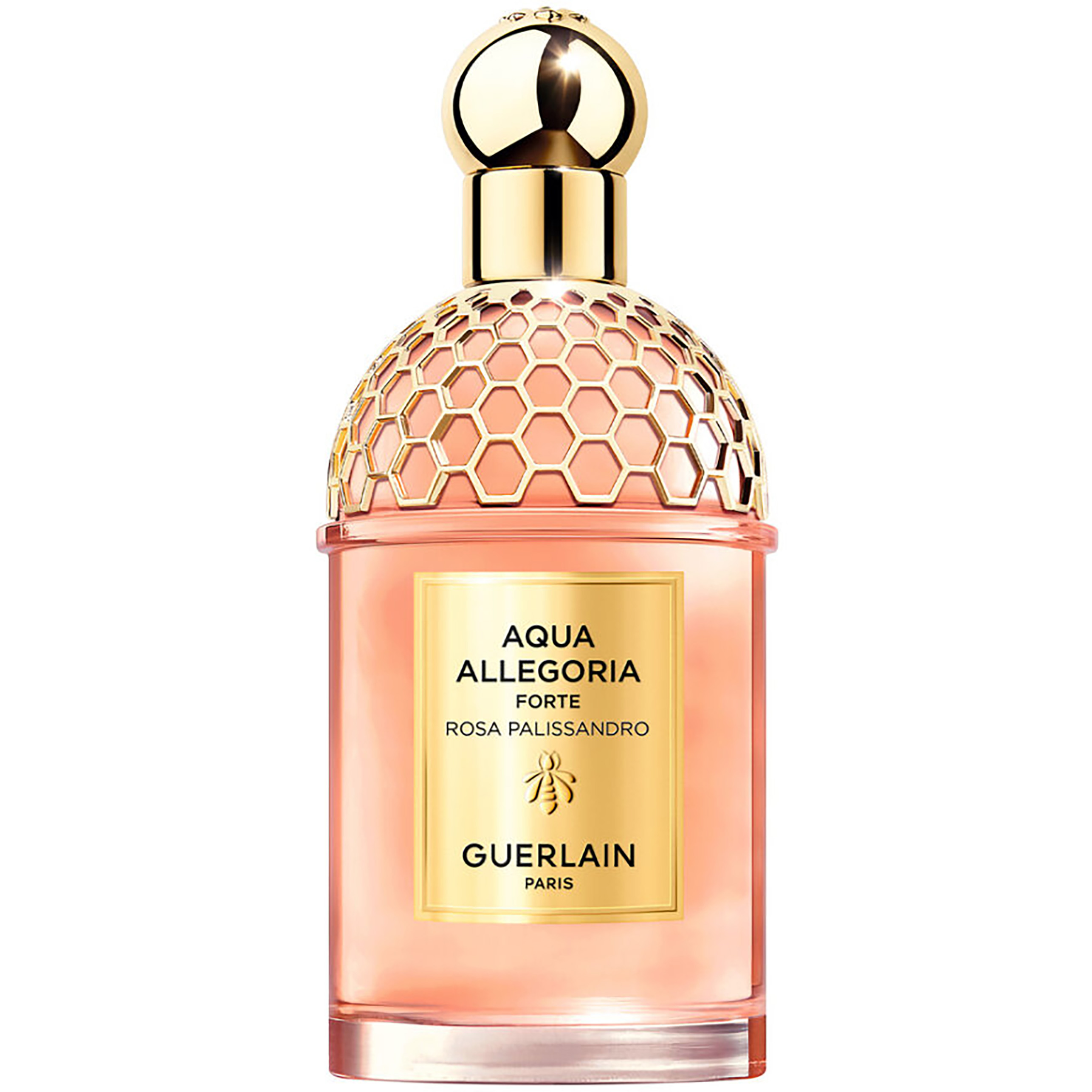 GUERLAIN GUERLAIN AQUA ALLEGORIA FORTE ROSA PALISSANDRO EAU DE PARFUM | 125ml