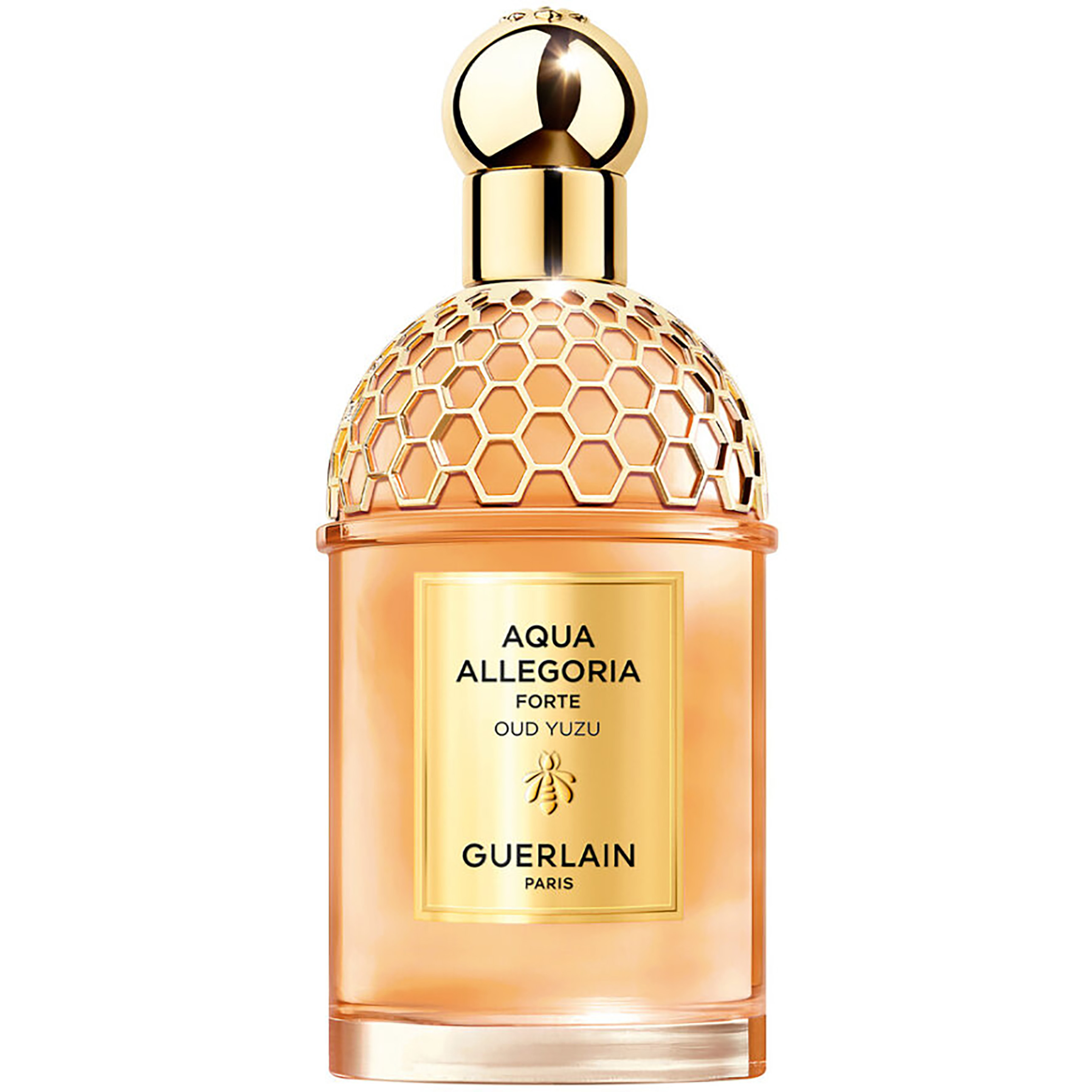 GUERLAIN AQUA ALLEGORIA FORTE OUD YUZU EAU DE PARFUM | 125ml