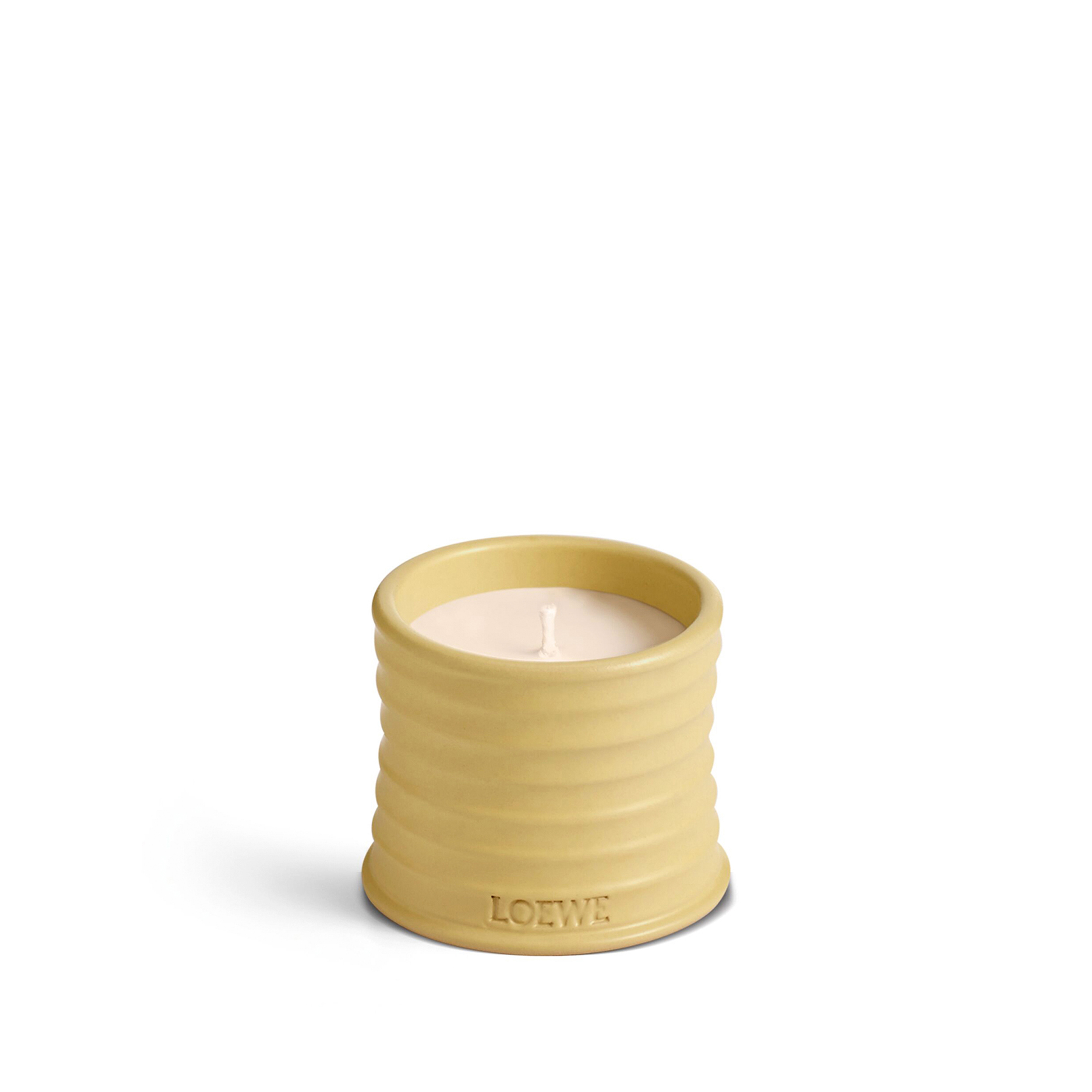 LOEWE LOEWE HONEYSUCKLE SMALL SCENTED CANDLE | 170gr