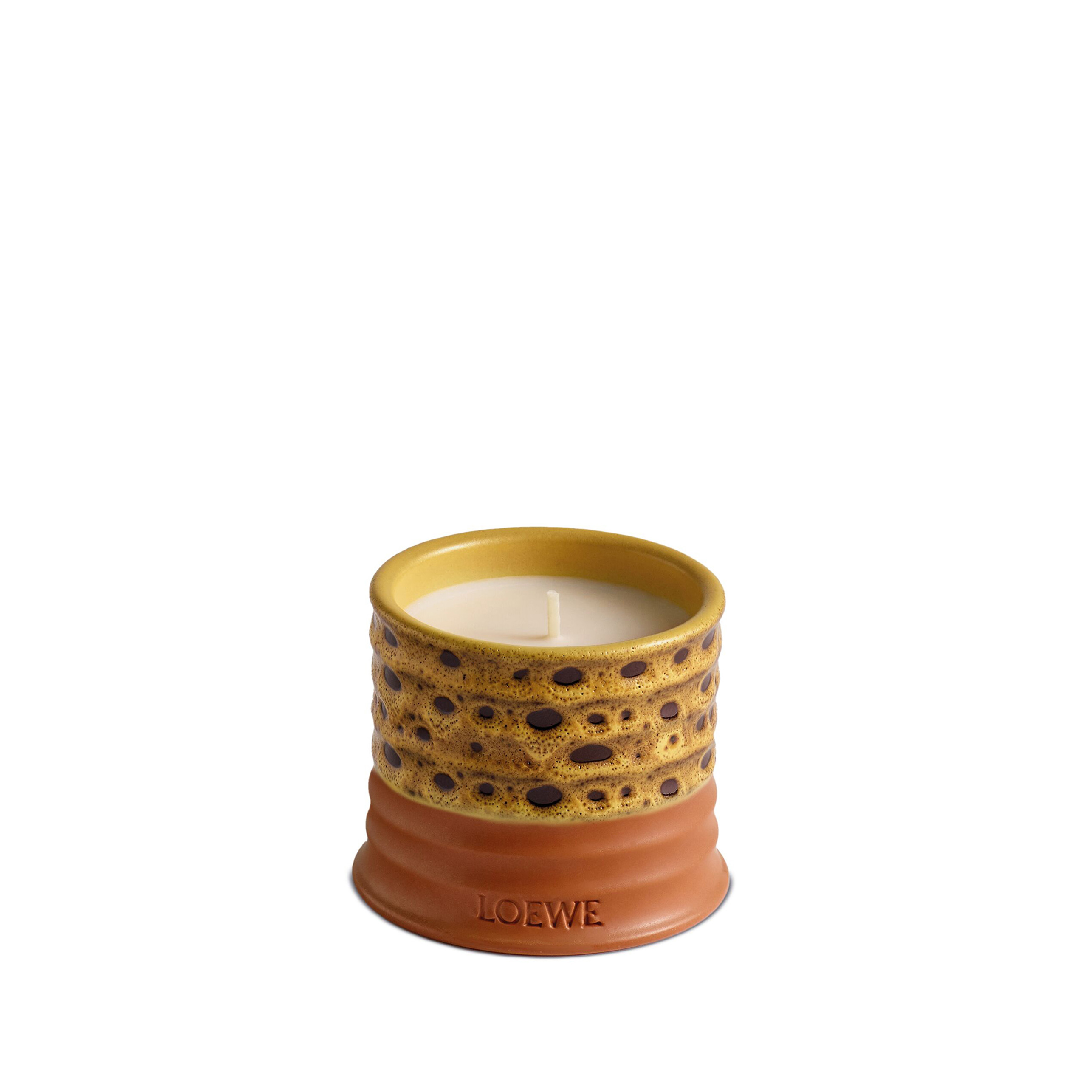 LOEWE LOEWE MIMOSA SCENTED CANDLE | 170gr