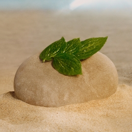 FLORA GORGEOUS MAGNOLIA EAU DE PARFUM REFILLABLE 5