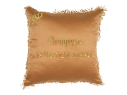 ΔΙΑΚΟΣΜΗΤΙΚΗ ΜΑΞΙΛΑΡΟΘΗΚΗ CHAMPAGNE IS THE RIGHT ANSWER  0
