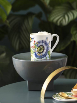 ΚΟΥΠΑ VILLEROY & BOCH 1
