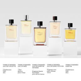 TERRE D'HERMÈS EAU DE TOILETTE 1