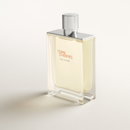 TERRE D'HERMÈS EAU GIVRÉE EAU DE PARFUM  1