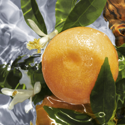 AQUA ALLEGORIA PAMPLELUNE  EAU DE TOILETTE  2