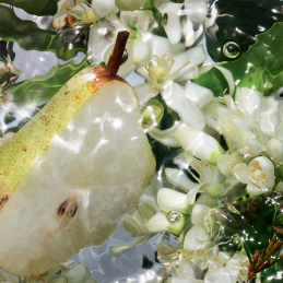 AQUA ALLEGORIA PERA GRANITA  EAU DE TOILETTE  3