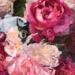 AQUA ALLEGORIA ROSA ROSSA  EAU DE TOILETTE  3