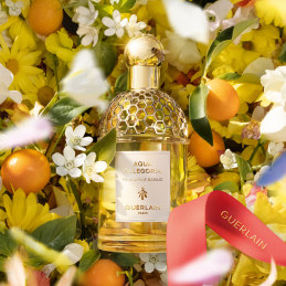 AQUA ALLEGORIA MANDARINE BASILIC - EAU DE TOILETTE GIFT SET 4