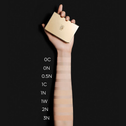 PARURE GOLD SKIN CONTROL MATTE COMPACT FOUNDATION 2