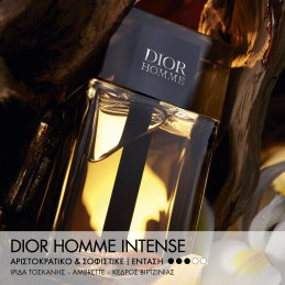 DIOR HOMME INTENSE EAU DE PARFUM  2