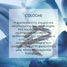 DIOR HOMME COLOGNE  3