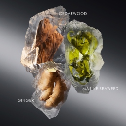 LE SEL D'ISSEY EAU DE TOILETTE 1