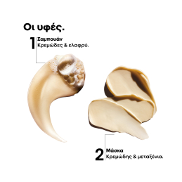 ABSOLUT REPAIR DUO GIFT SET ΓΙΑ ΕΠΑΝΟΡΘΩΣΗ & ΑΝΑΔΟΜΗΣΗ ΣΤΑ ΤΑΛΑΙΠΩΡΗΜΕΝΑ ΜΑΛΛΙΑ 5