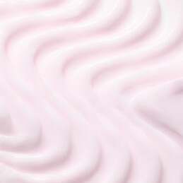 BOTANIC ΤHERAPY GRAPE MOISTURE  2 ΣΕ 1 ΚΡΕΜΑ LEAVE-IN  1