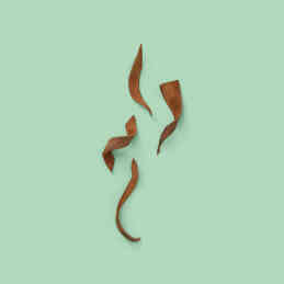 THE ALCHEMIST'S GARDEN A NOCTURNAL WHISPER PERFUMED OIL 3