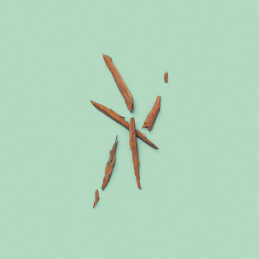 THE ALCHEMIST'S GARDEN ODE ON MELANCHOLY PERFUMED OIL 3