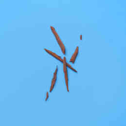 THE ALCHEMIST'S GARDEN A SONG FOR THE ROSE EAU DE PARFUM 4