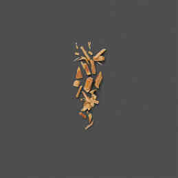 THE ALCHEMIST'S GARDEN THE VOICE OF THE SNAKE EAU DE PARFUM 4