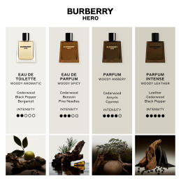 BURBERRY HERO EAU DE PARFUM MEN 6