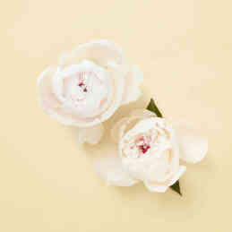 THE ALCHEMIST'S GARDEN TEARS FROM THE MOON EAU DE PARFUM 4