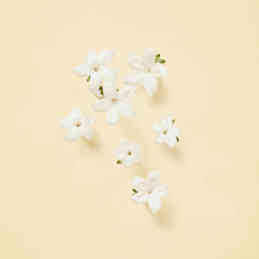 THE ALCHEMIST'S GARDEN TEARS FROM THE MOON EAU DE PARFUM 5