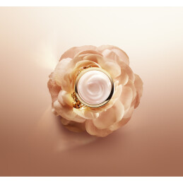 ABSOLUE THE LIGHT CREAM 2