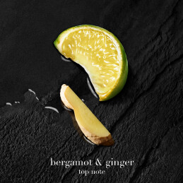 ARMANI ACQUA DI GIO PARFUM ΑΝΔΡΙΚΟ ΑΡΩΜΑ 5