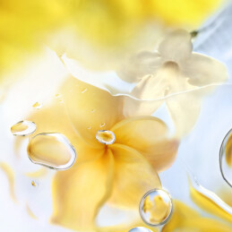 Ô ZENITH EAU DE TOILETTE 4