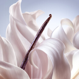 LA VIE EST BELLE VANILLE NUDE HAIR & BODY MIST 2