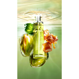 STARLICIOUS PISTACHIO PRALINE EAU DE TOILETTE EAU GOURMANDE 6