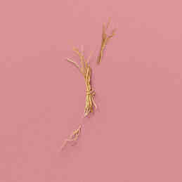 THE ALCHEMIST'S GARDEN A GLOAMING NIGHT EAU DE PARFUM 4