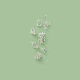 THE ALCHEMIST'S GARDEN 1921 EAU DE PARFUM 3