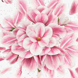 FLORA GORGEOUS MAGNOLIA EAU DE PARFUM REFILLABLE 5