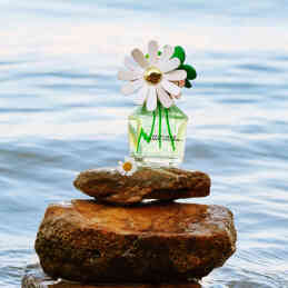 DAISY WILD EAU DE PARFUM REFILLABLE 2