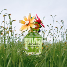 DAISY WILD EAU SO INTENSE EAU DE PARFUM 4