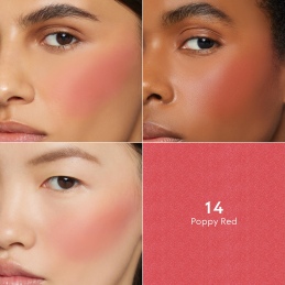 BLUSH DE BEAUTÉ LIMITED EDITION 3
