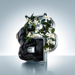 BOTTLED BEYOND EAU DE TOILETTE INTENSE FOR HIM 3