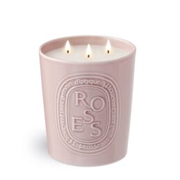 CANDLE ROSES  1