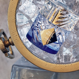 BLUE MOON GINGER DASH 3