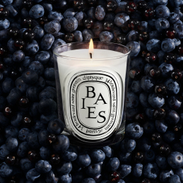 BAIES SCENTED CANDLE 1