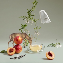 ARTEMISIA EAU DE PARFUM 3