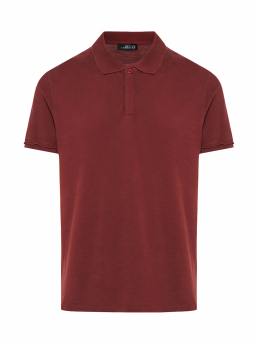 ΑΝΔΡΙΚΗ POLO ΜΠΛΟΥΖΑ 1