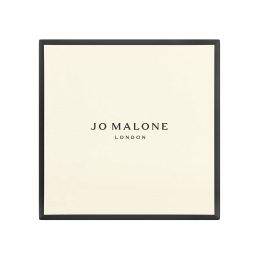 CAR DIFFUSER HOUSE​ 1