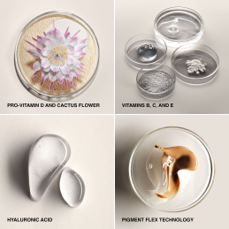 VITAMIN ENRICHED SKIN TINT SPF 15 5