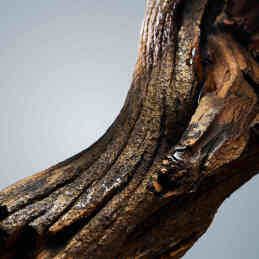 BOSS BOTTLED DEODORANT SPRAY 2