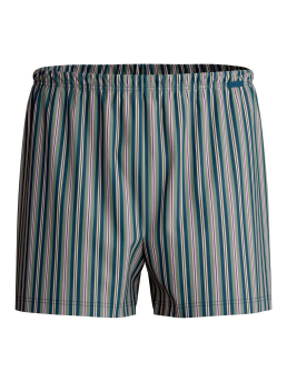 ΑΝΔΡΙΚΟ ΕΣΩΡΟΥΧΟ BOXER  2