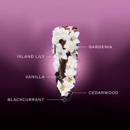 GINZA NIGHT EAU DE PARFUM INTENSE 3