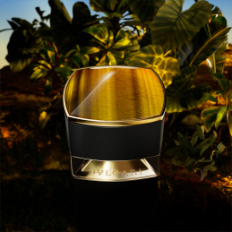 BVLGARI LE GEMME TYGAR EAU DE PARFUM 1