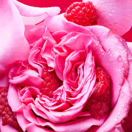 BVLGARI ALLEGRA FIORI D'AMORE LIQUID SOAP 2